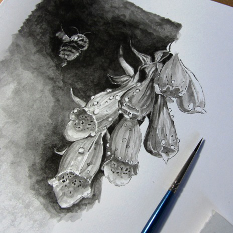 Brush and ink drawing of a bee and foxglove