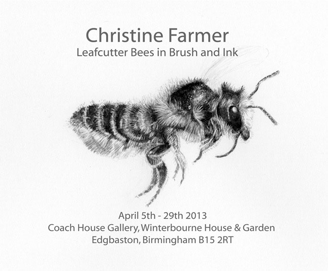 Flyer for exhibition Coach House Gallery 2013
