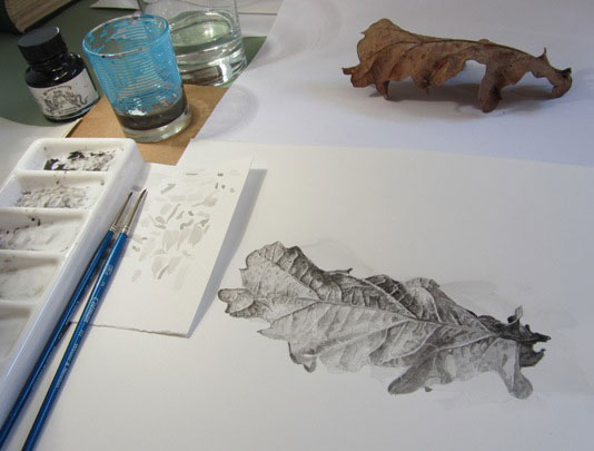 Oak leaf, and drawing, with drawing materials on table