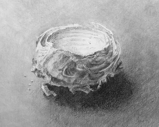 Pencil study of a disintegrating wasp nest